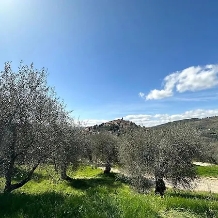 Tuscany Panoramic View - Relax In Val D'orcia アパート セッジャーノ